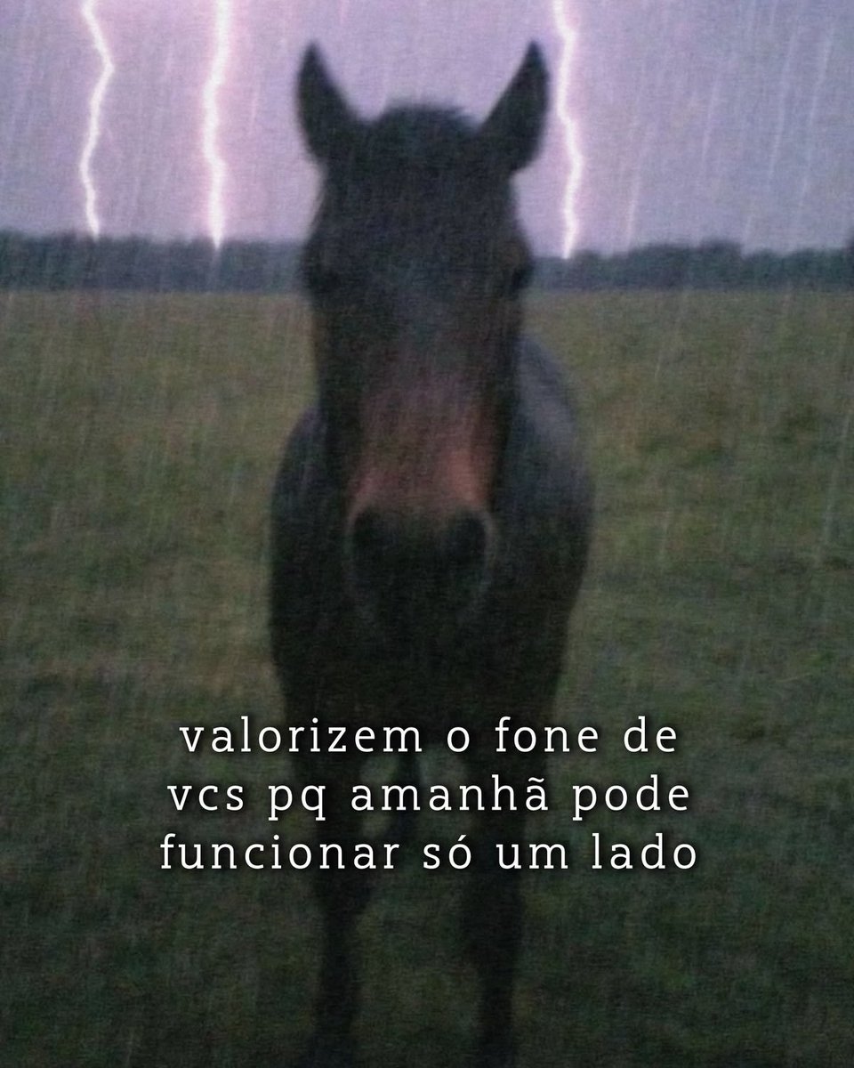 shitpostverdade's tweet photo. https://t.co/ebTvguEZX8