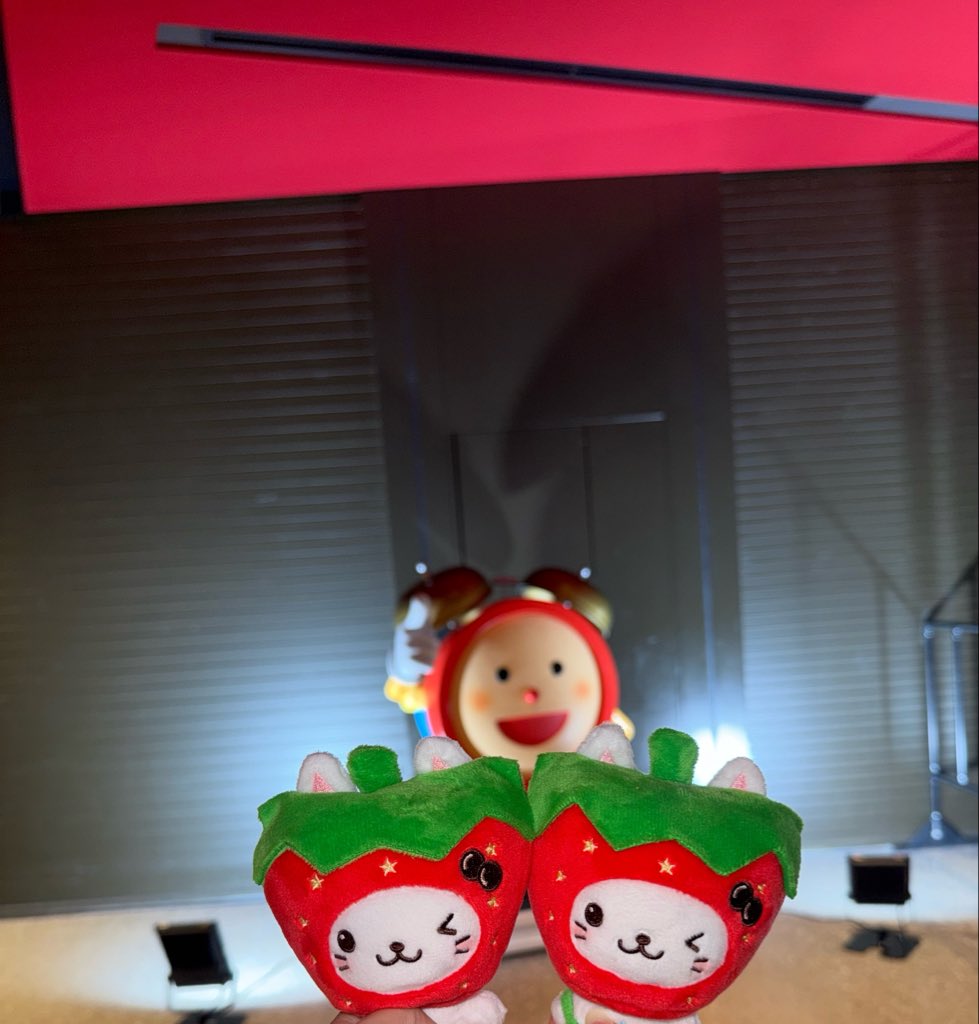 oaoyushi's tweet photo. 딸기 버블냥 첫데뷔🍓 https://t.co/gSHxZI6doY