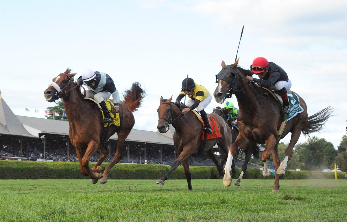 RajivMaragh's tweet photo. Wanted to make this my profile pic not only because MS is one of the best horses i have ridden, he was so cool with the way he switches his tail to propel himself. His desire to compete and perform was top shelf. https://t.co/34yrwSMLP2