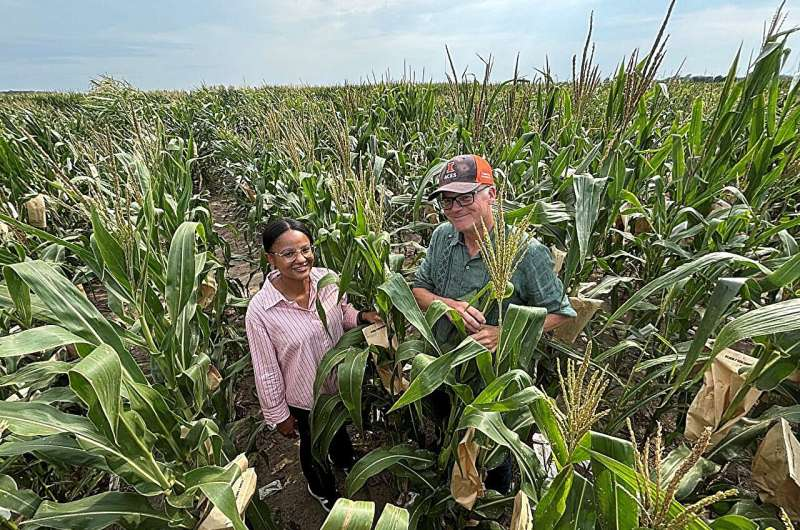 2026Adv12990's tweet photo. Major genetic weakness threatens future corn breeding, study reveals read more: https://t.co/9HpmWiSeTo  To Know More Information About Adv. PSPB 2027 Visit Our Website: https://t.co/GhkmIHgomg #plantbased #agriculturalengineering https://t.co/arPz6U5rPL