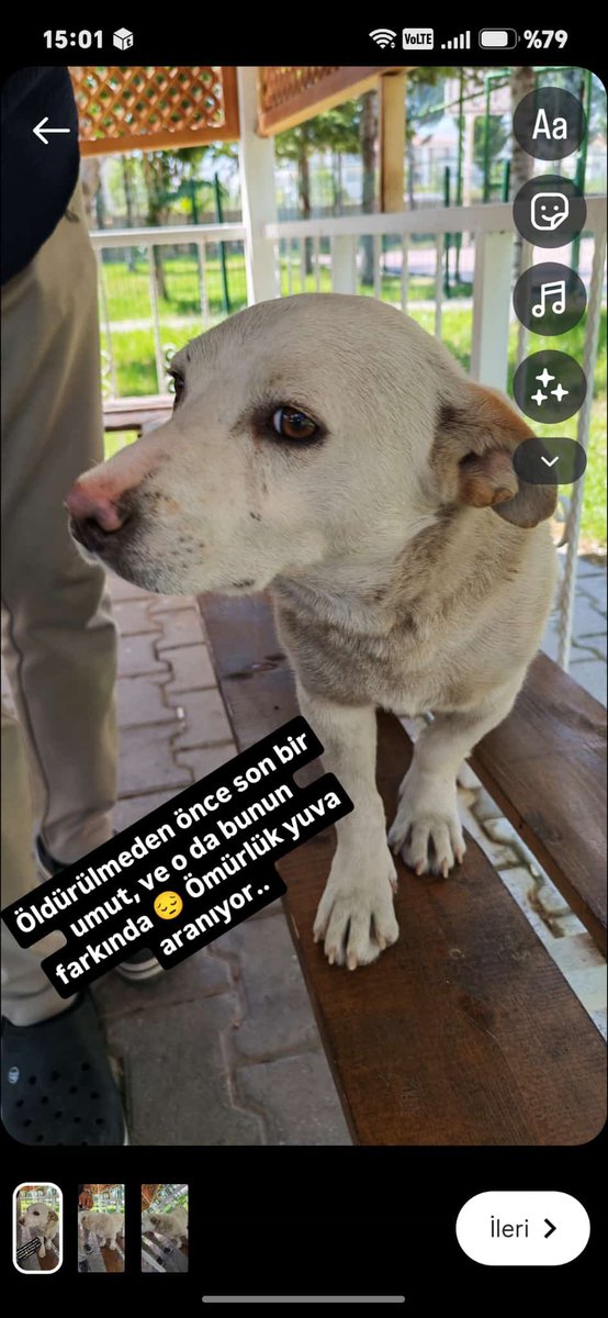 sesseda79's tweet photo. Sokakta köpel bırakılmayan Konya'da böyle bi bebe var. Sıra ona gelmeden kurtaracak çıkar mı? @minkominkom @nesliko https://t.co/HQgpwXeGax