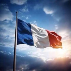AltcoinsFrance's tweet photo. 🔴🇫🇷  L’INTERDICTION DES RÉSEAUX SOCIAUX AUX MOINS DE 15 ANS CENSURÉE EN FRANCE 

Le Conseil constitutionnel vient de censurer la mesure qui devait interdire l’accès aux réseaux sociaux aux mineurs de moins de 15 ans.

Les Sages considèrent notamment que :

→ L’interdiction était trop générale et disproportionnée

→ Elle portait une atteinte excessive à la liberté d’expression et de communication

→ Le système de vérification de l’âge n’offrait pas suffisamment de garanties pour la vie privée

⚠️ L’interdiction ne pourra donc pas entrer en vigueur sous sa forme actuelle.