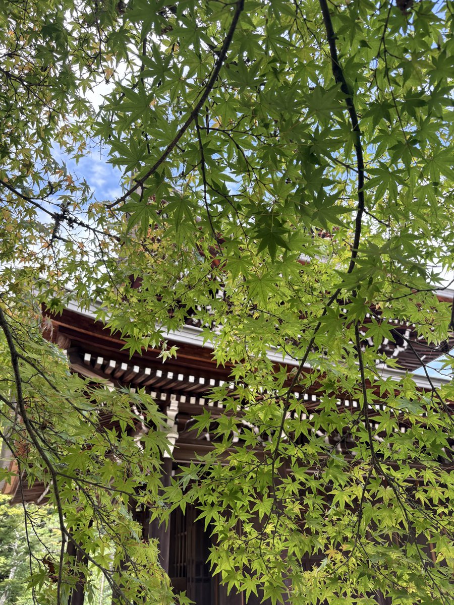 justonestep2025's tweet photo. Just a little note 😊
I love Japan, its culture, and its beautiful scenery, and I simply enjoy sharing the moments I capture along the way 📷🇯🇵✨
My photos aren’t for sale, and I’m not looking for collaborations.
I’m just happy to share a little bit of Japan with you.
Thank you always for enjoying my photos! 🥰
#SharingJapan #NoDMsPlease