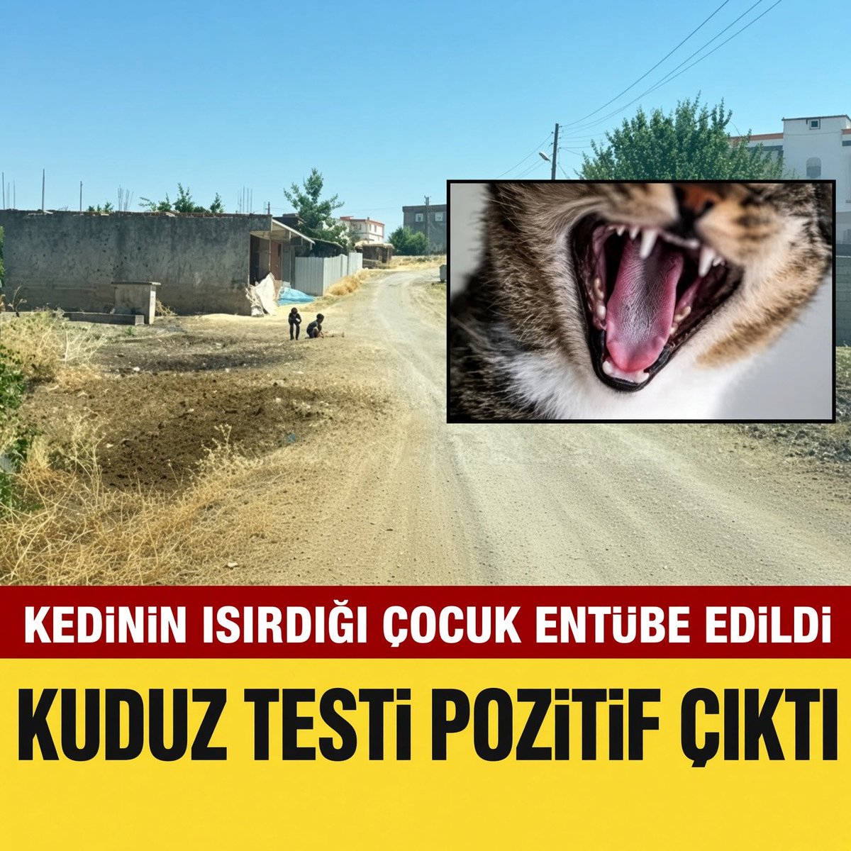 NiluferSabuncu's tweet photo. Kuduzla mücadele yönetmeliğinin "harfiyen" uygulanmasından başka bir yolu yoktur !

Yoktur !! 
Bir harfi atlarsak olmaz, olmadı, olmayacak !

@ibrahimyumakli @TCTarim @tcbestepe @Hayati_Yazici @hasandogan https://t.co/wg1guF7KVU