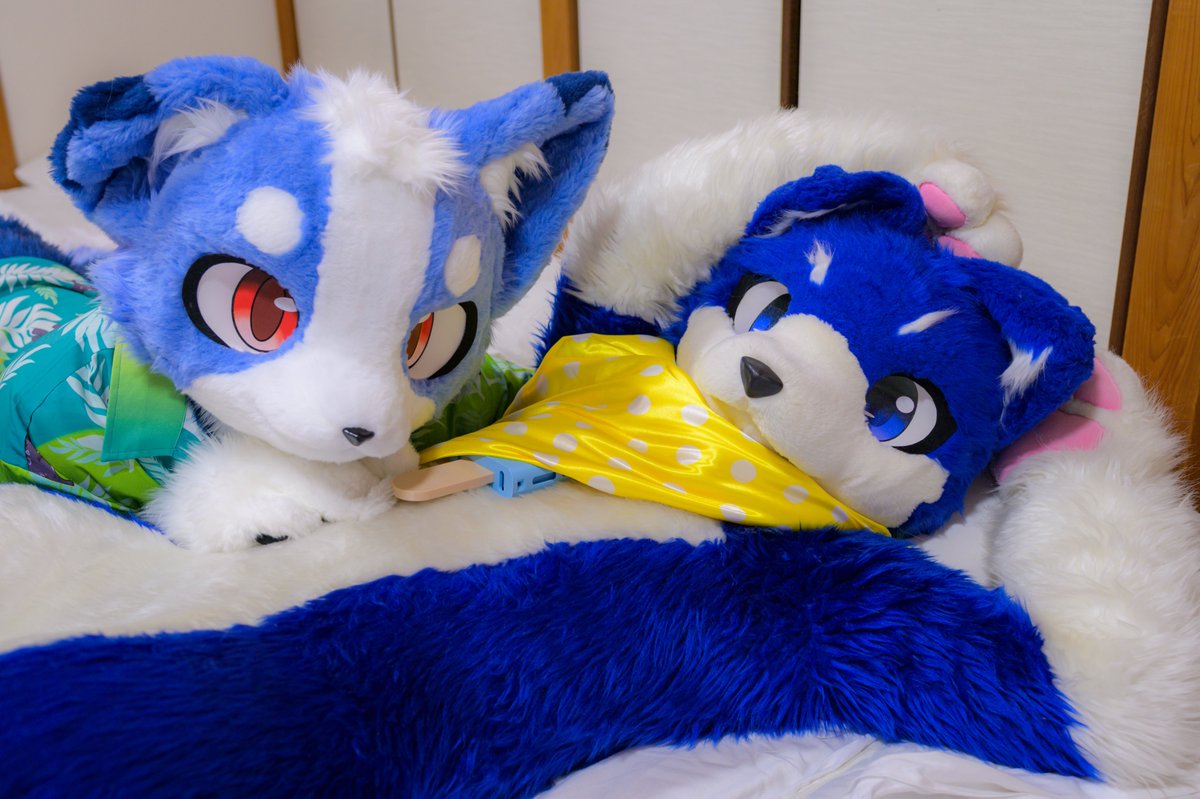Parisian621's tweet photo. #Fursuitfriday 
ゴロゴロ2匹✨ https://t.co/fFIkwvGsuc