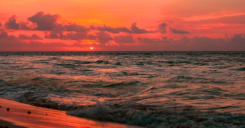 tropicalitytrvl's tweet photo. Pic of the Night...Rising Sun 💗🌤️🌊
https://t.co/fTapSTkOrR
#sunrisers #sunrisedaily #sunrise #beach https://t.co/taSFzT73bN