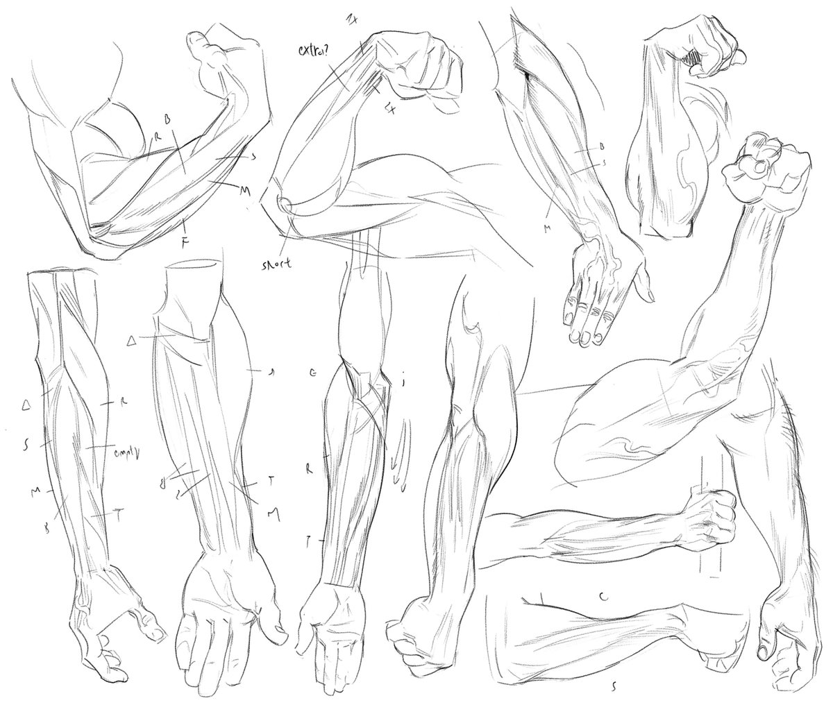 OSporin's tweet photo. brushing up on da forearms https://t.co/pTIBt7eiQk