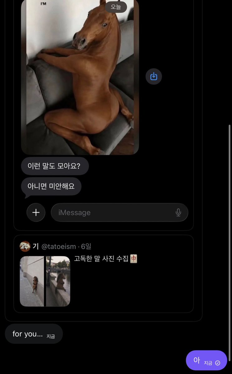 saataabo's tweet photo. 말과 트친대협의 이야기 https://t.co/f5itP09LMG