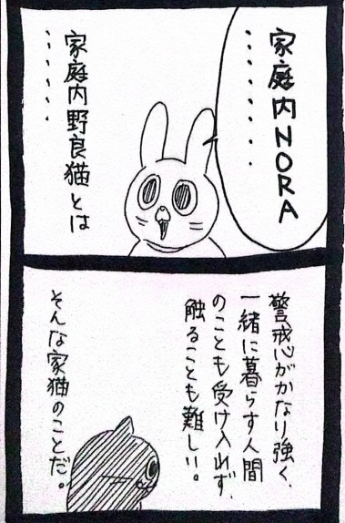 usagitoseino's tweet photo. 家庭内野良猫 https://t.co/HOasWI0pbp