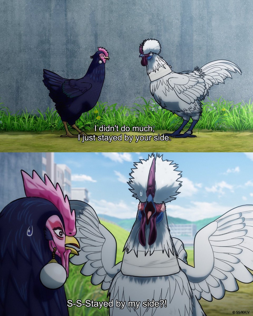 RoosterFighter_'s tweet photo. interacting with my crush in any capacity whatsoever: 

--

Yo cuando tengo cualquier tipo de interacción con mi crush: https://t.co/PDJdyVPa8p