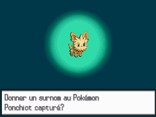 Mayroxsh's tweet photo. Bon un ponchiot de trop en 4692 rencontres phase 7 riolu... https://t.co/FIUmL8qQwU