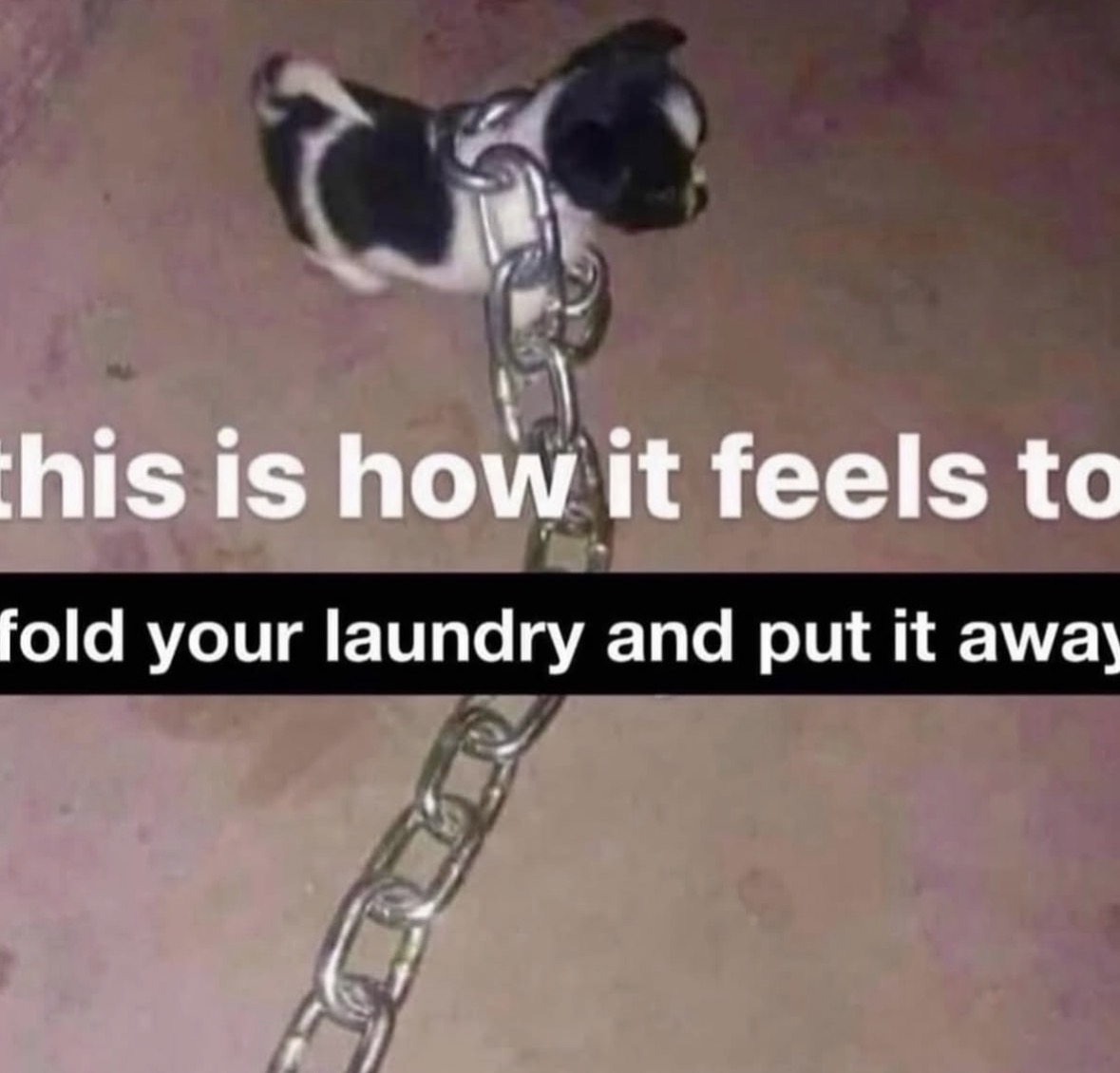 thedailymemes_'s tweet photo. Adulting is hard. https://t.co/MOkfgGxjcJ