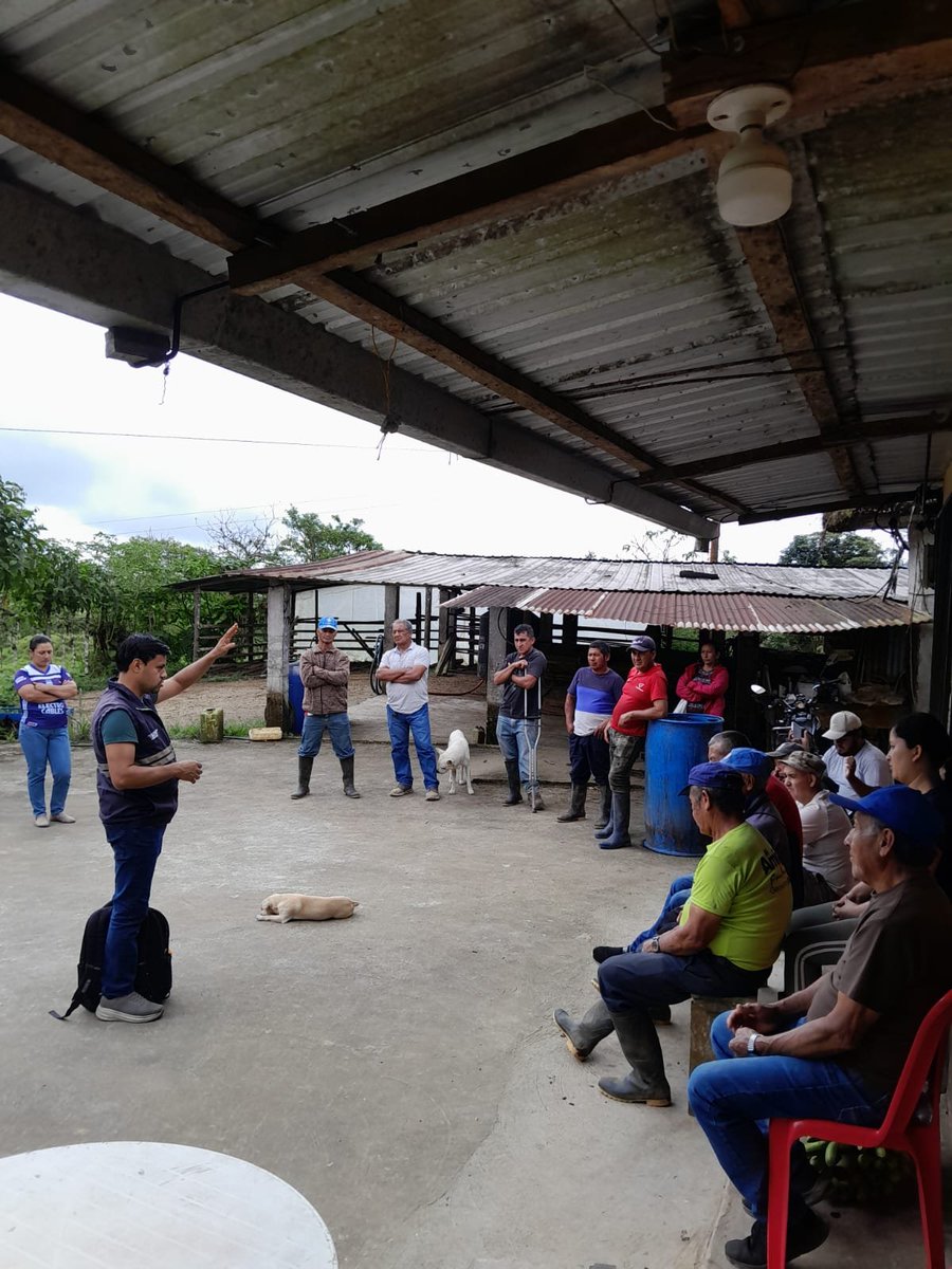 AgrocalidadZ4's tweet photo. 🐂 | #PrevenciónSanitaria

En #SantoDomingo fortalecemos al sector ganadero, realizando capacitaciones sobre el uso del sistema institucional SIFAE 2.0 en la parroquia El Esfuerzo y Alluriquín y así mejorar la trazabilidad de los animales.

#FortalecemosElAgroEcuatoriano 💪 https://t.co/Obi3UdMdda