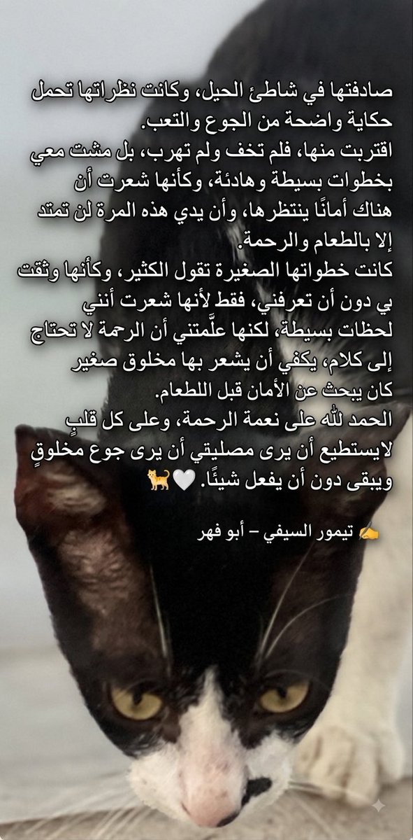 TaimurAlsaifi's tweet photo. #ساعه_استجابه

الحمد لله على نعمة الرحمة، وعلى كل قلبٍ لا يستطيع أن يرى جوع مخلوقٍ ويبقى دون أن يفعل شيئًا. 🤍🐈 https://t.co/y4TdtxbBlp