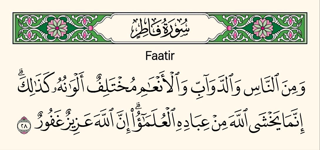 AllahGodlord's tweet photo. https://t.co/nCWbn1l6BE
