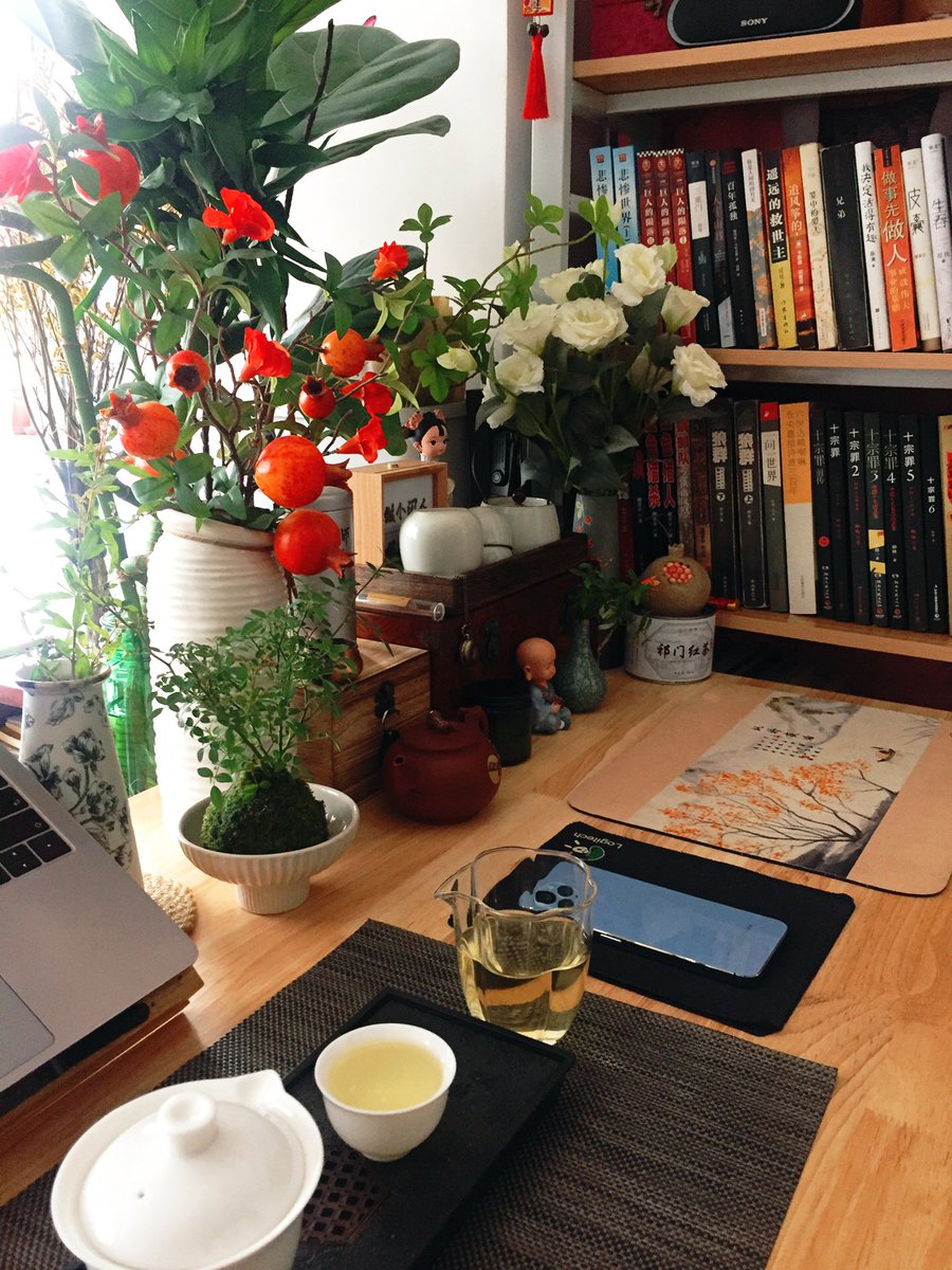 gsunshower's tweet photo. Cozy Sunday vibes at home—steamy coffee, a good book, and my cat curled up on the couch. Perfect little reset after a busy week.， https://t.co/yyosOgbPKh