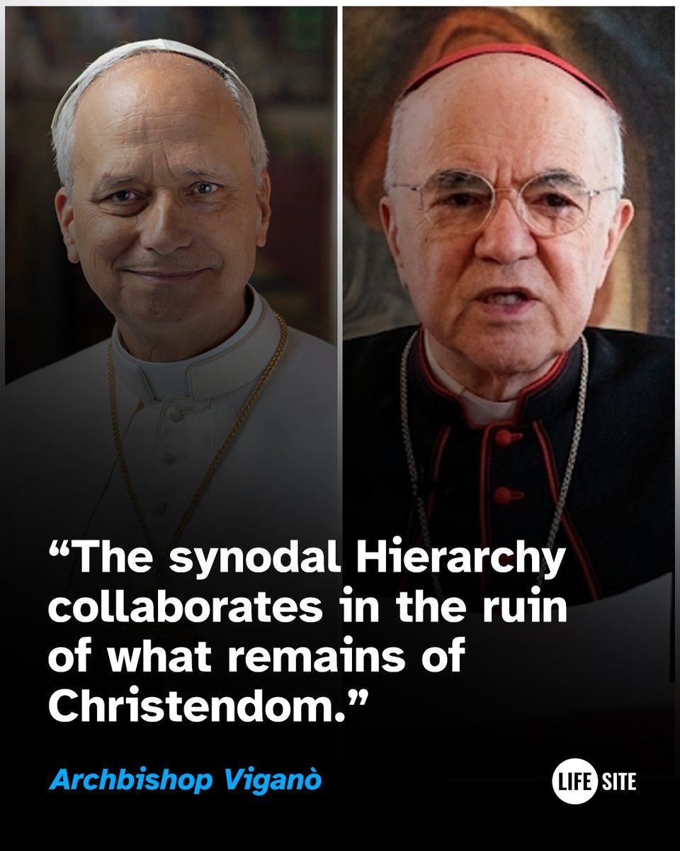 LifeSite's tweet photo. Archbishop Viganò: "The synodal Hierarchy collaborates in the ruin of what remains of Christendom."

https://t.co/udemH9w6iH https://t.co/bKfvHgeQ44