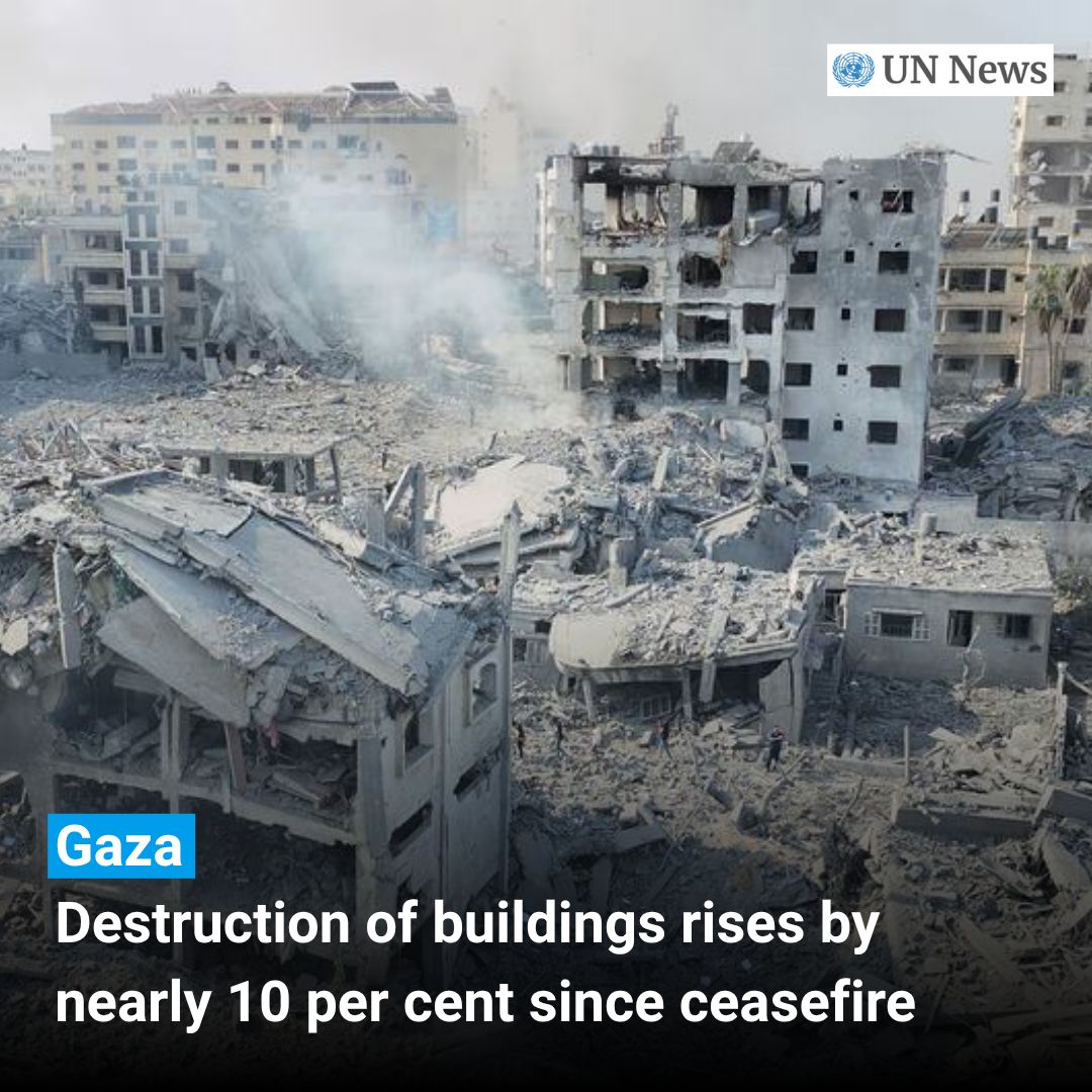 UNGeneva's tweet photo. Even during the ceasefire, Palestinians in #Gaza continue to face daily threats from unexploded ordnance left behind by the fighting.

Overall, about 82% of the structures in Gaza – about 200,000 buildings – are damaged.

📰https://t.co/qr13x4C6fD https://t.co/Zs4NyTq6gq