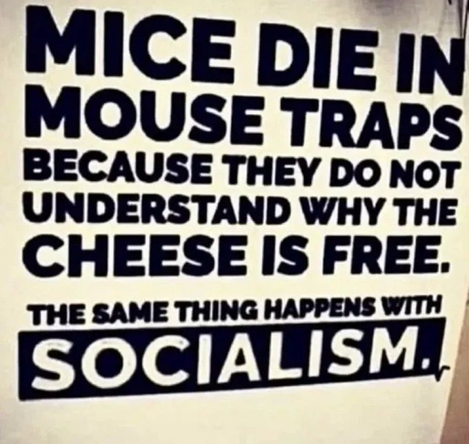 HarryMCMLVIII's tweet photo. @MeidasTouch Free?????????? I'm thinking it's not "free" to the tax payers. https://t.co/DTnSJdAXen