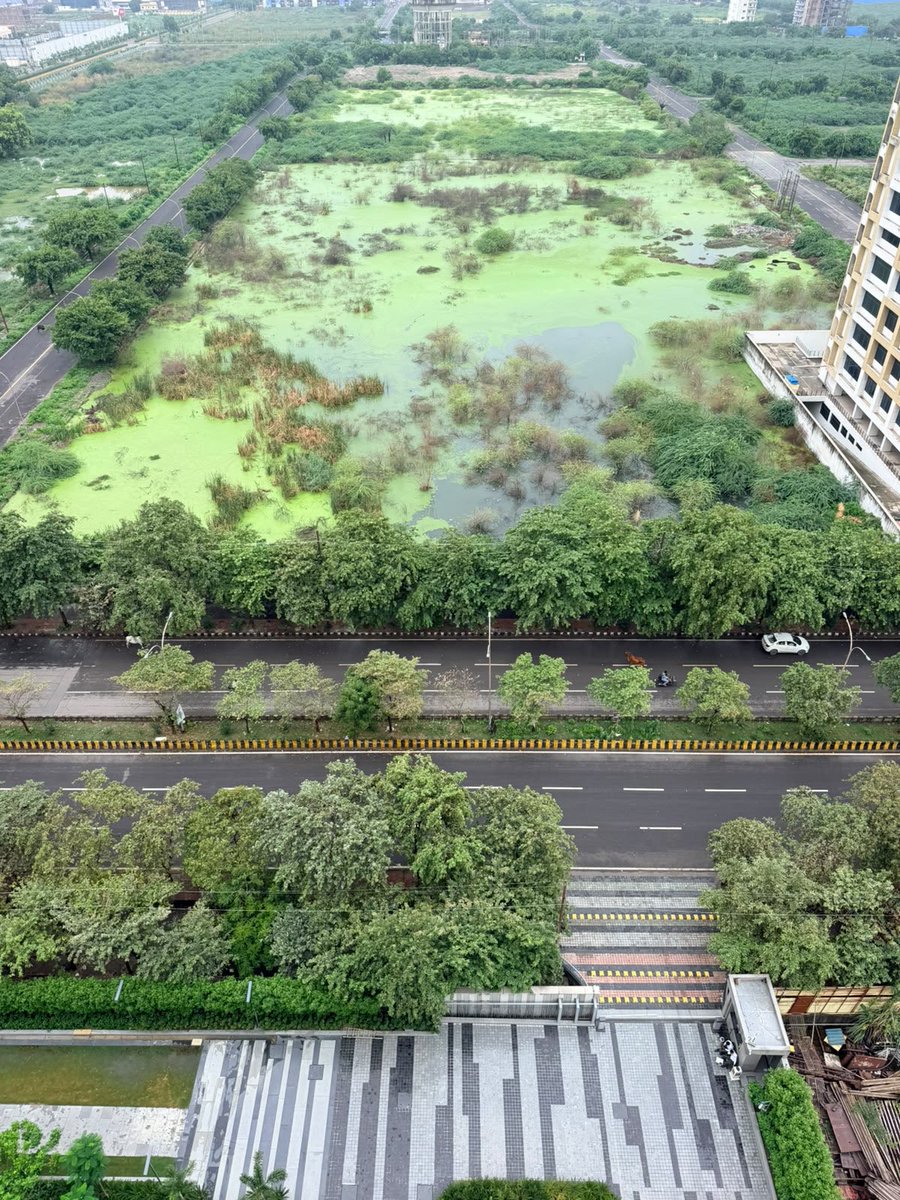 Shashusan's tweet photo. @noida_authority @CeoNoida @InfoDeptUP @UPGovt @myogiadityanath @dmgbnagar These are just ad hoc work, entire sector 150 and 151 roads a s drainage system is in bad shape and cattle’s sitting on the roads and vacant land is full of stagnant water https://t.co/xrx6q4rv6Q