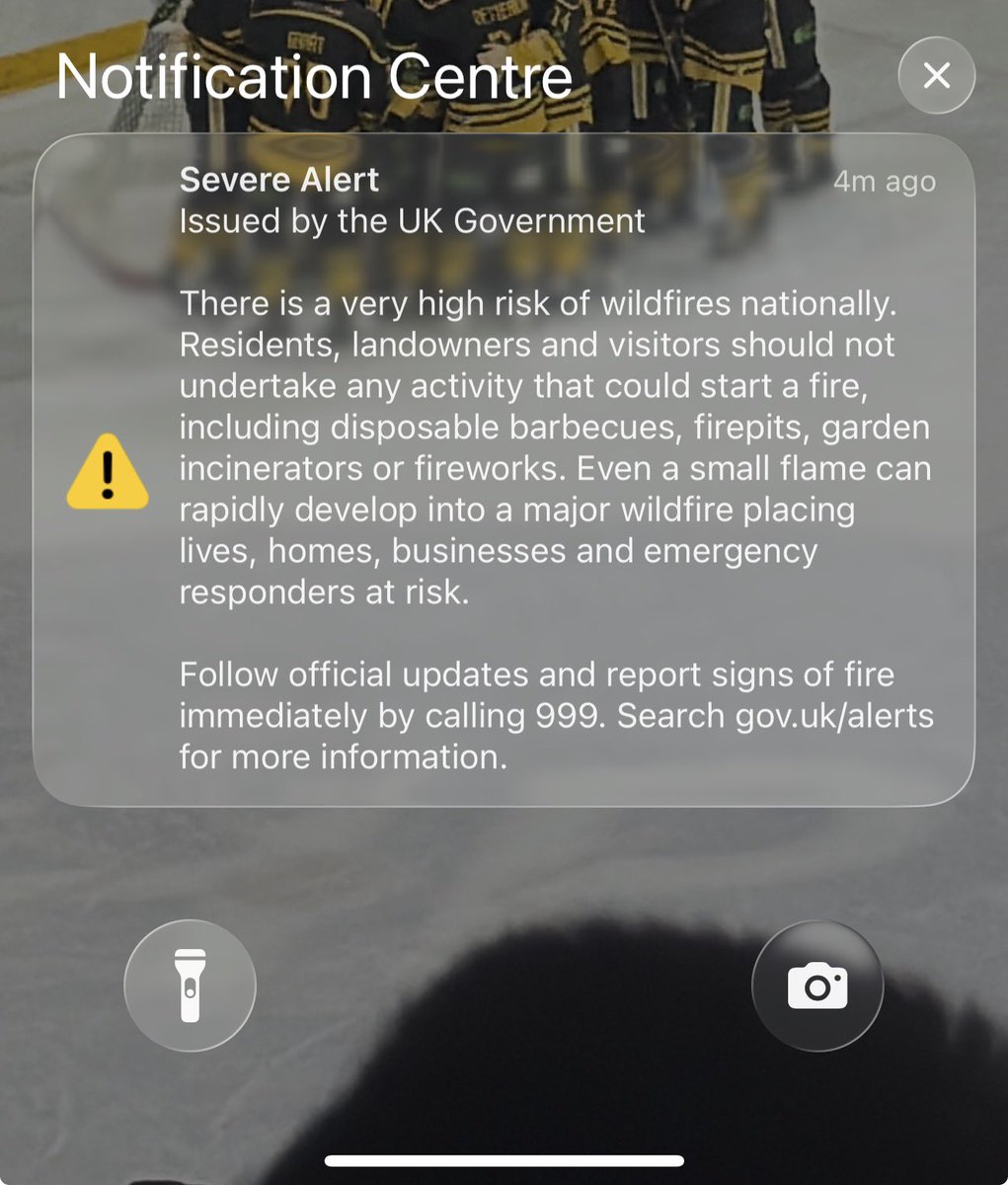 Hol_moll's tweet photo. Could you like put it in an email or text next time I just about had a heart attack https://t.co/WhulSvwSha