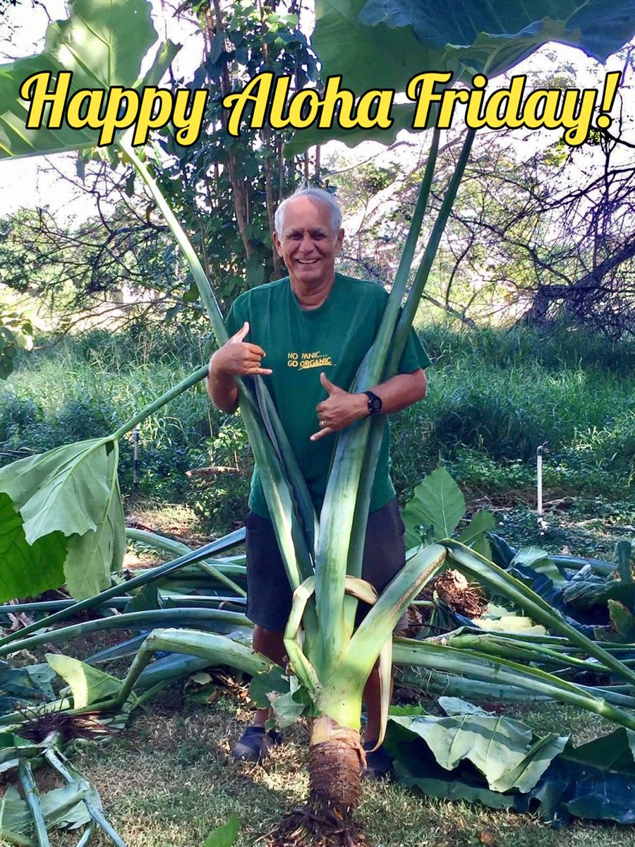 GabbardAloha's tweet photo. #HappyAlohaFriday

Wishing you and your ʻohana a wonderful Aloha Friday and a relaxing weekend ahead. Stay safe and enjoy the beauty around you.

Have a great weekend! 🤙🌿
#HAF https://t.co/PFGqgUfUyS