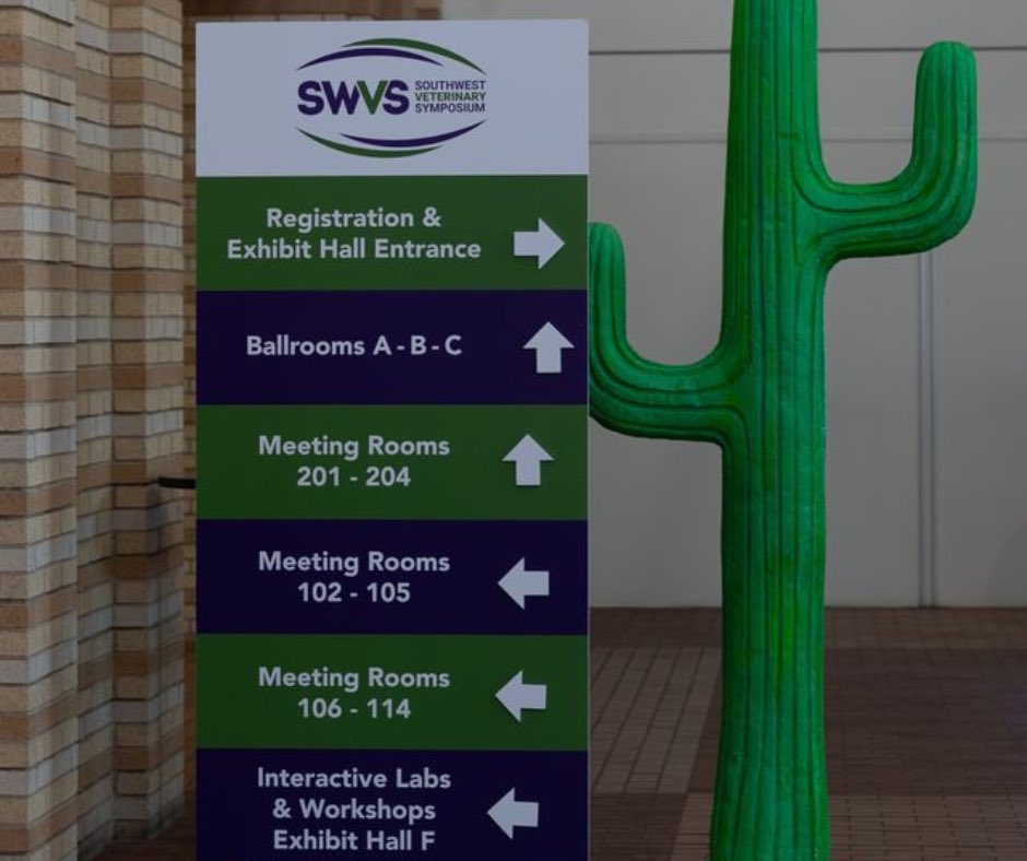 SWVS's tweet photo. The details, y'all. 🤠💜

At #SWVS2026 Southern hospitality isn't just a tagline. It shows up in every single detail of the experience we create for you. We can't wait to welcome y'all!

September 17th-20th | San Antonio, TX
👉 https://t.co/Aa9JNUBuHq

#Veterinarymedicine https://t.co/VwFD2mRVdG