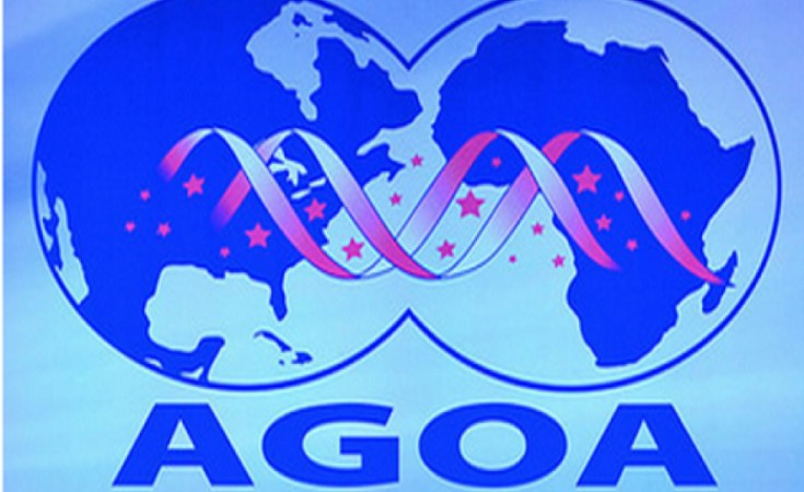 Estelle_Dansou's tweet photo. La prolongation de l’AGOA jusqu’en 2028, si elle est définitivement adoptée, offrirait au Togo un accès préférentiel au marché américain. Avec déjà 210 000 produits textiles exportés en 2025, la PIA tient une carte importante.

#AGOA #Togo #FaureGnassingbé https://t.co/U9FM5wFvTG