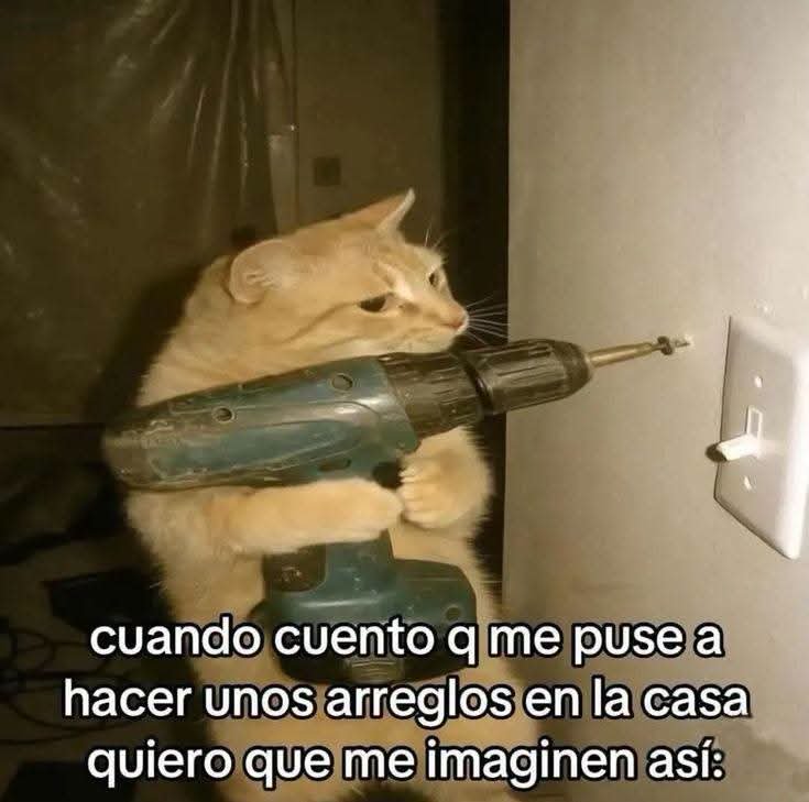 Mantequilla90's tweet photo. https://t.co/LG0f0oQzfC