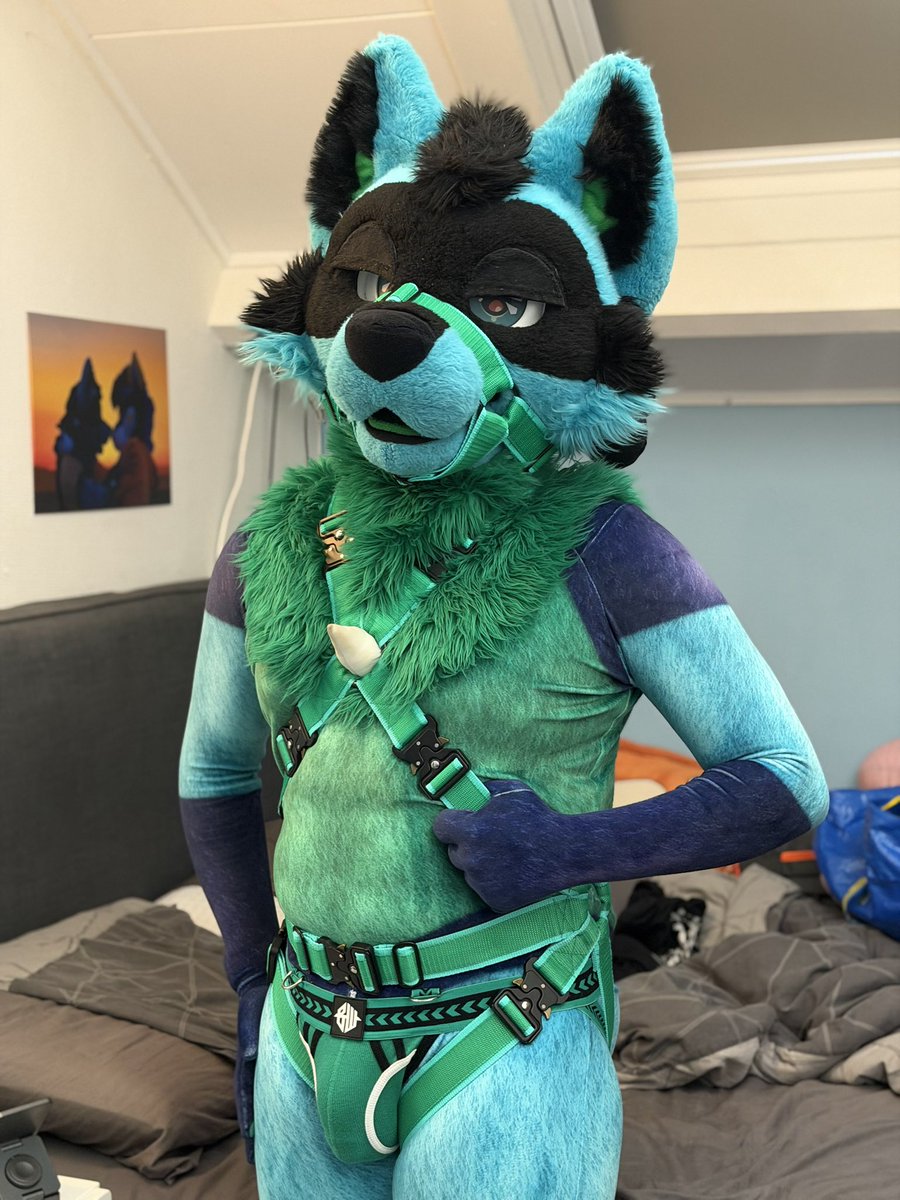 pokeyfans's tweet photo. So happy with my new harness from @Crunchycurl come find me at #EF30 

📸 @E621Dog https://t.co/HnWXbA6TeY
