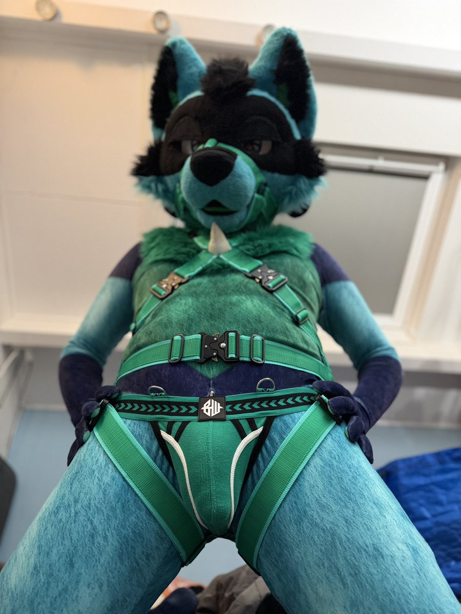 pokeyfans's tweet photo. So happy with my new harness from @Crunchycurl come find me at #EF30 

📸 @E621Dog https://t.co/HnWXbA6TeY