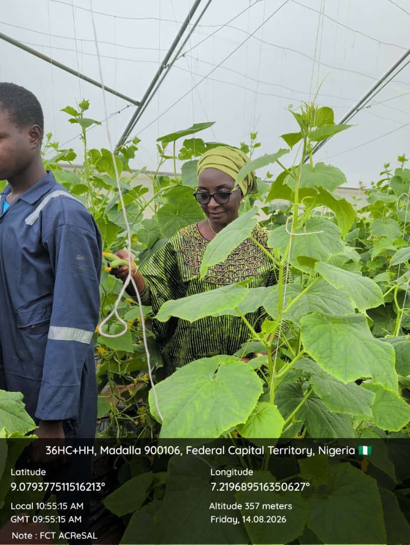 FCTACReSAL's tweet photo. FCT ACReSAL Hands Over Modern Greenhouse to COE Zuba to Boost Climate-Smart Agriculture. https://t.co/BBz64mGT8w