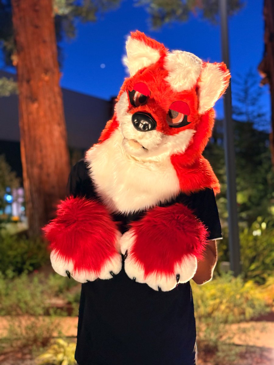 BG_TFOX's tweet photo. At the Furmelt/Meltdown Yesterday, Happy #FursuitFriday everyone 🦊🔥 
#Furry #FurryFandom #FurryCommunity #Fox https://t.co/3TeLe9OZIW