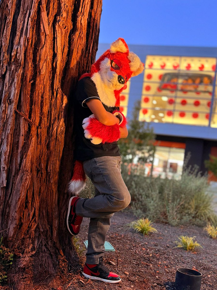 BG_TFOX's tweet photo. At the Furmelt/Meltdown Yesterday, Happy #FursuitFriday everyone 🦊🔥 
#Furry #FurryFandom #FurryCommunity #Fox https://t.co/3TeLe9OZIW