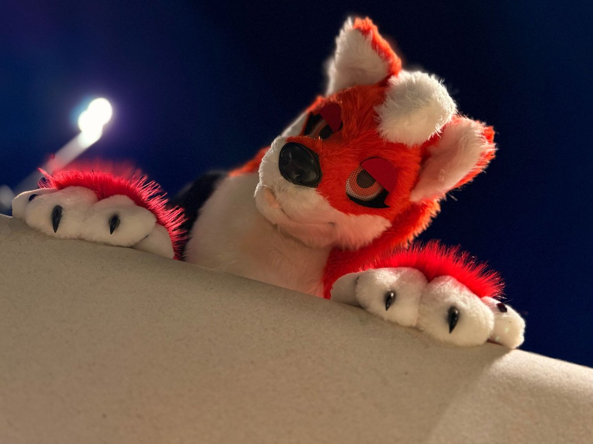 BG_TFOX's tweet photo. At the Furmelt/Meltdown Yesterday, Happy #FursuitFriday everyone 🦊🔥 
#Furry #FurryFandom #FurryCommunity #Fox https://t.co/3TeLe9OZIW