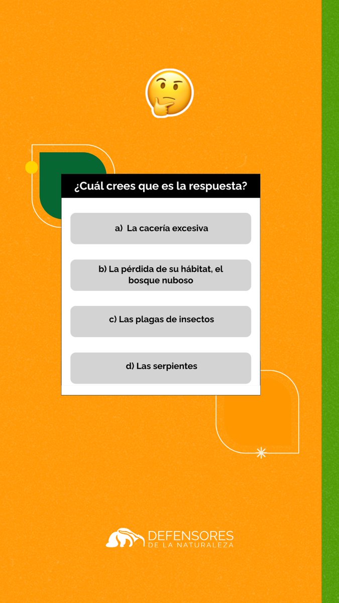 Defensores_FDN tweet picture