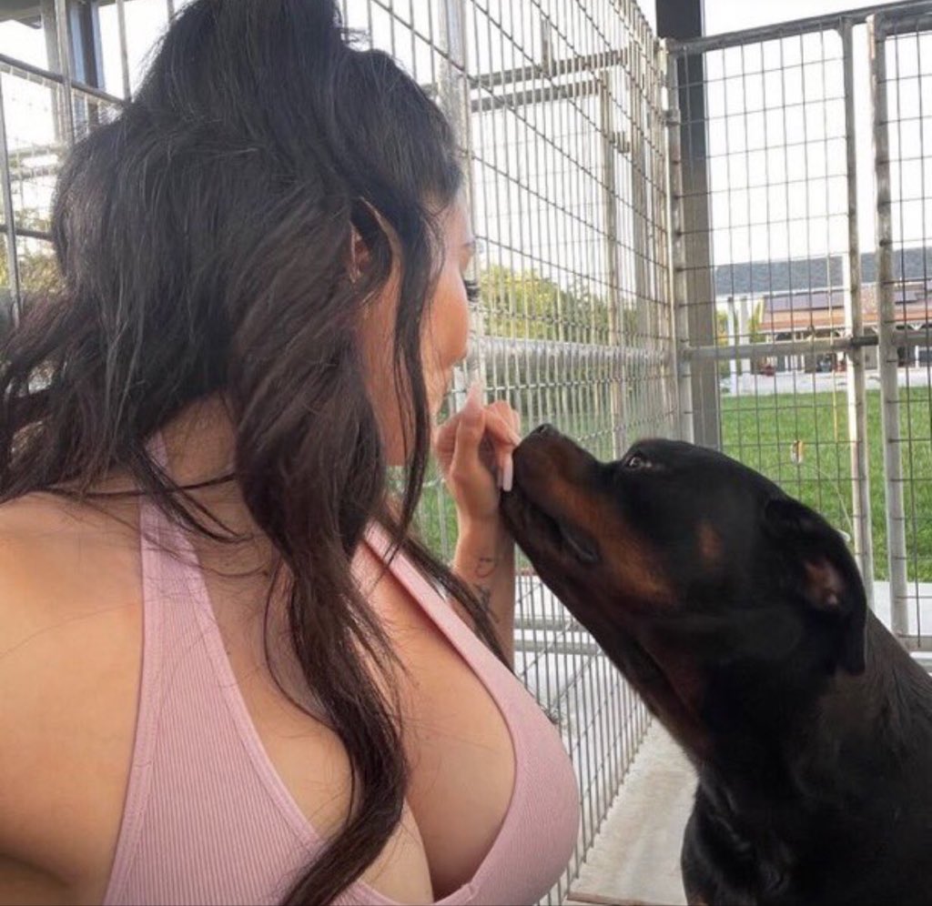 Brinaknotty's tweet photo. We drip π§ Hardππ
After taking his hard D*ck inside me,
for more exclusive content and videos
Tap my link below π
https://t.co/Makb9IGAVB
#feastility #zooknotty #zooisvalid #k9girls #zooispride #zoobeastility #knottz #knotting https://t.co/dK3NSRfljc