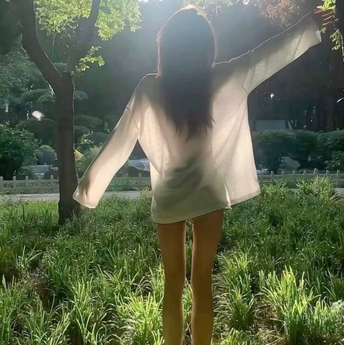 bbyd0llmae's tweet photo. #edtwt intro ⋆‧°𓏲ּ𝄢
 hiii i’m mae! my old acc js got banned💔
⊹₊˚‧︵‿₊୨ᰔ୧₊‿︵‧˚₊⊹
಄ 17 ⊹ she/her ⊹ str8
಄ 5’7 ⊹ sw : 67 ⊹ cw : 62 ⊹ gw : 50
಄ edtwt &amp; shtwt
಄ looking for moots xx
#edrtwt #ed #ricecaketwt #moothunt #moots #wl #thinspo https://t.co/xs60NCrUtW