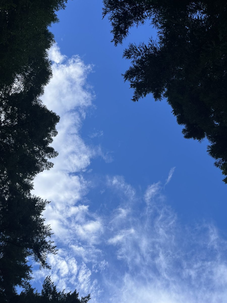 CoRhIrNiPdPt's tweet photo. 湧水を汲みに沢に降りる
夜は諏訪湖の花火
娘たちに会えてうれしい夏のひととき https://t.co/SpqHzsIcxd
