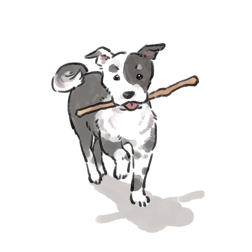 Kano_H8_work's tweet photo. 棒をくわえる白黒雑種犬
2026 
#イラスト #犬イラスト #雑種犬 https://t.co/nlhosJZ8vX