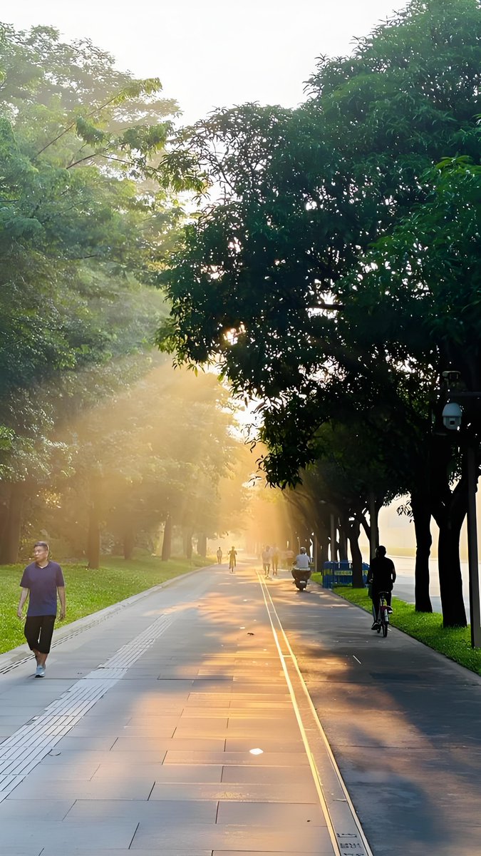 QuangTri95's tweet photo. Just finished a 30-minute jog in the park at dawn, fresh air and soft sunlight make the morning perfect! https://t.co/vhX061qmyy