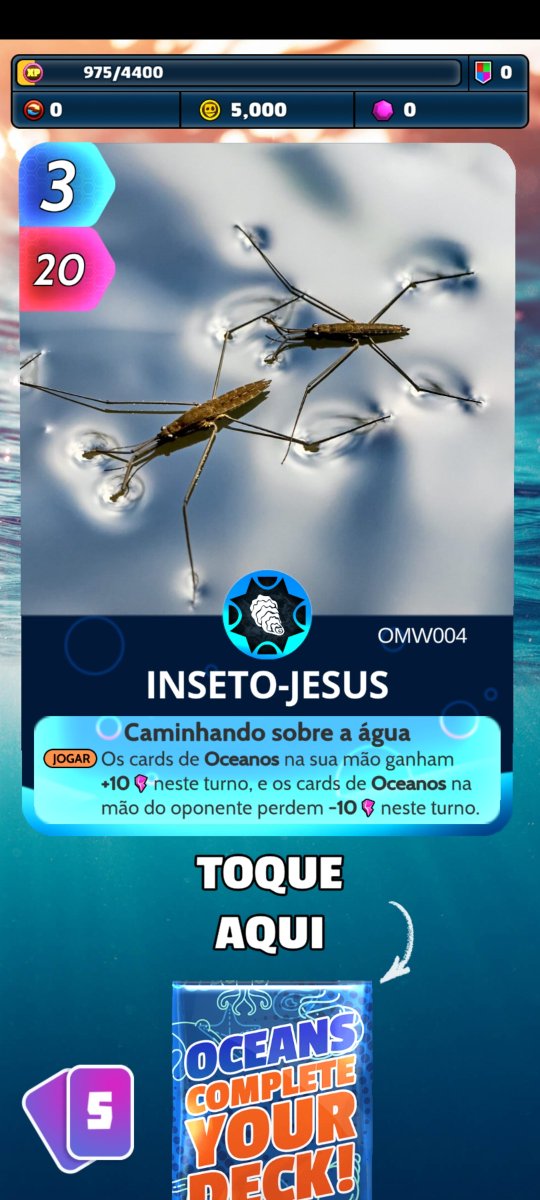 Chesterpurple69's tweet photo. Porra de pokemon tcg o bagulho é CUE https://t.co/HtXRD2cmFA