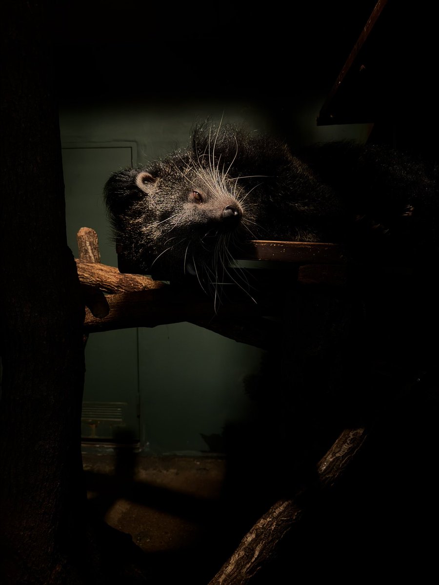 WTr9b3's tweet photo. 動物園行ってきたよん！ https://t.co/AF8FRoTjSf