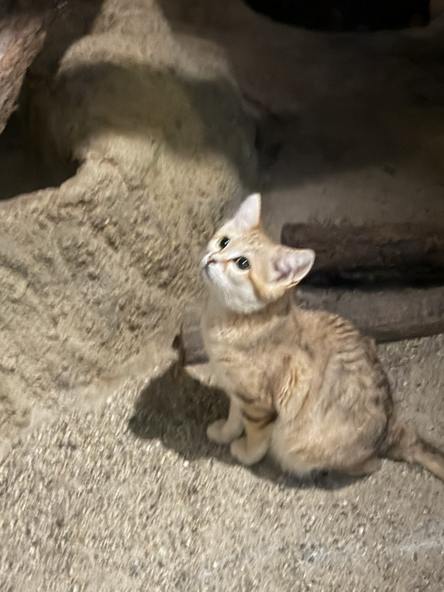 WTr9b3's tweet photo. 動物園行ってきたよん！ https://t.co/AF8FRoTjSf