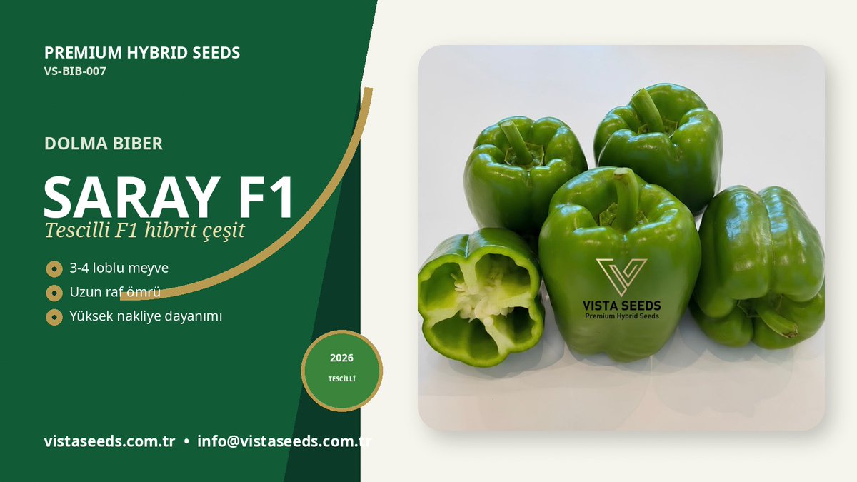 VistaSeeds's tweet photo. 🫑 SARAY F1 Dolma Biber
🌱 SARAY F1; sera ve açık tarla yetiştiriciliğine uygun, orta güçlü yapıda profesyonel dolma biber çeşididir.
Tescilli yerli çeşidimiz, sahada kanıtlı.
Detay: https://t.co/ghrHnjpcrW

#VistaSeeds #yerlitohum #sebzetohumu #biber https://t.co/4mncPSjF1l