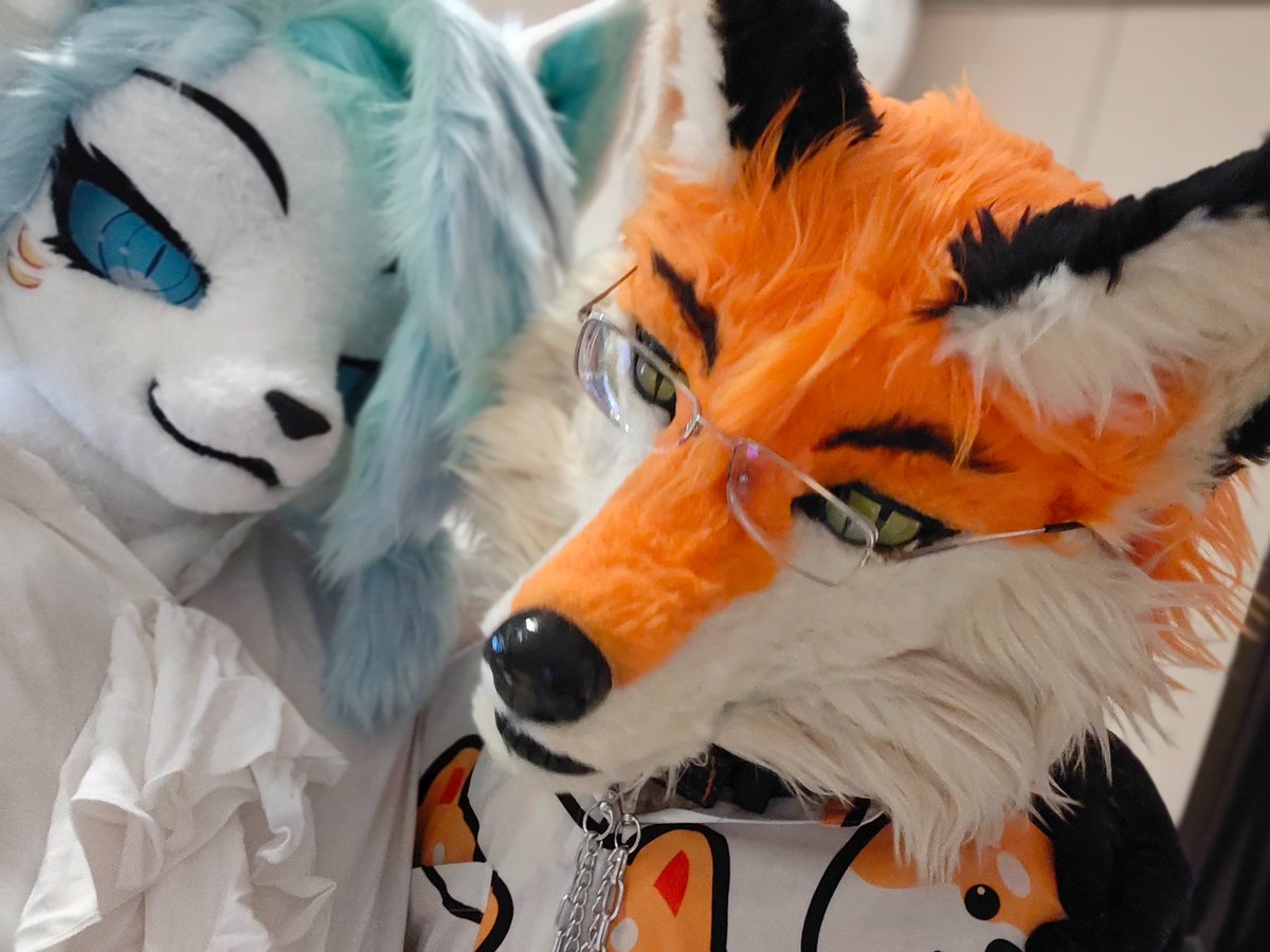 FurryDFox's tweet photo. 想和你一直在一起 https://t.co/1QoPYp2jcz
