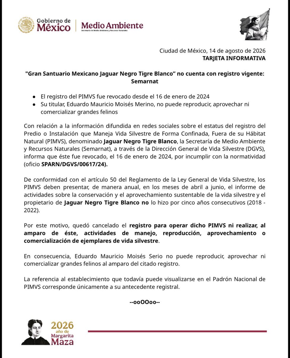 SEMARNAT_mx's tweet photo. 📌 #NotaInformativa | "Gran Santuario Mexicano Jaguar Negro Tigre Blanco" no cuenta con registro vigente: Semarnat.

➡️ https://t.co/JjZ2SHvIQW
#SomosMedioAmbiente https://t.co/zEWKEuEKSI