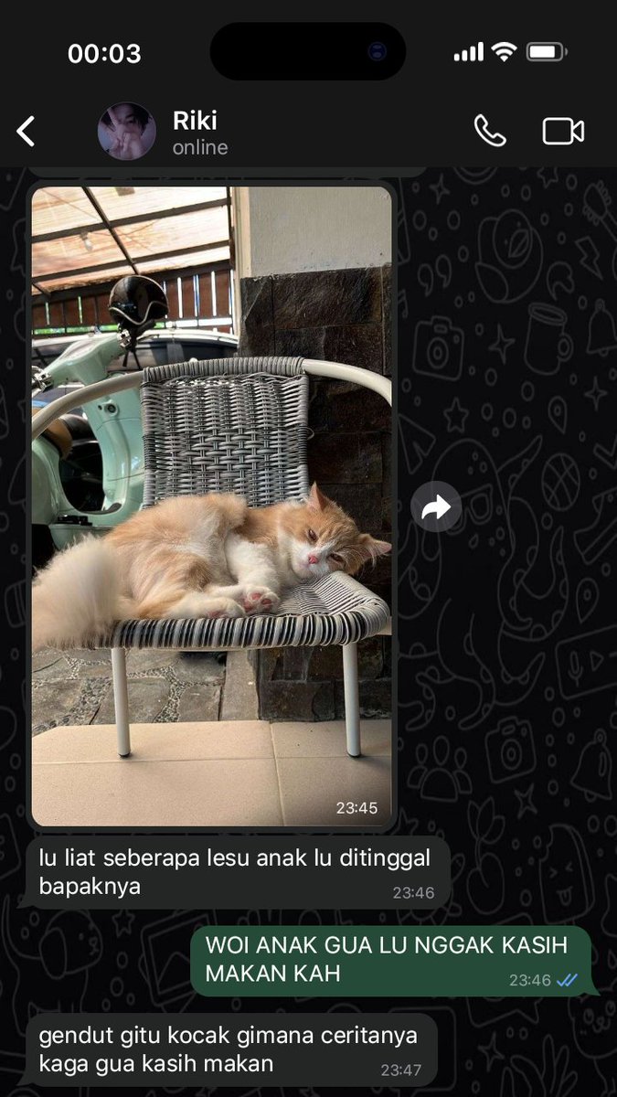 issedaya's tweet photo. #Niksun #Sunki few tweets AU 

- Apa itu pisah kamar? https://t.co/McADkaRcUz