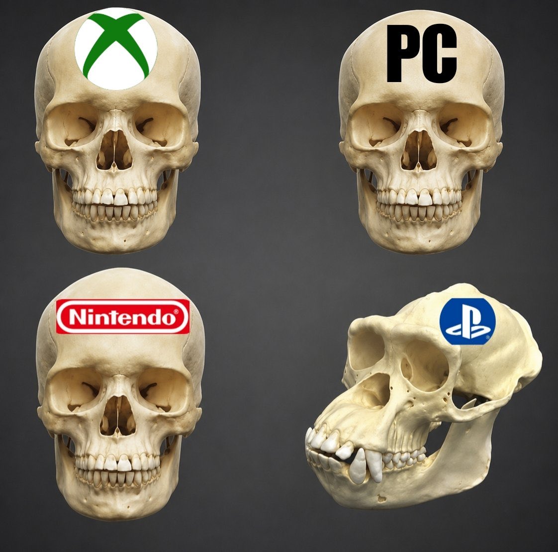 chaachiitoo's tweet photo. @PlayStation https://t.co/ghAqJ8AXH9