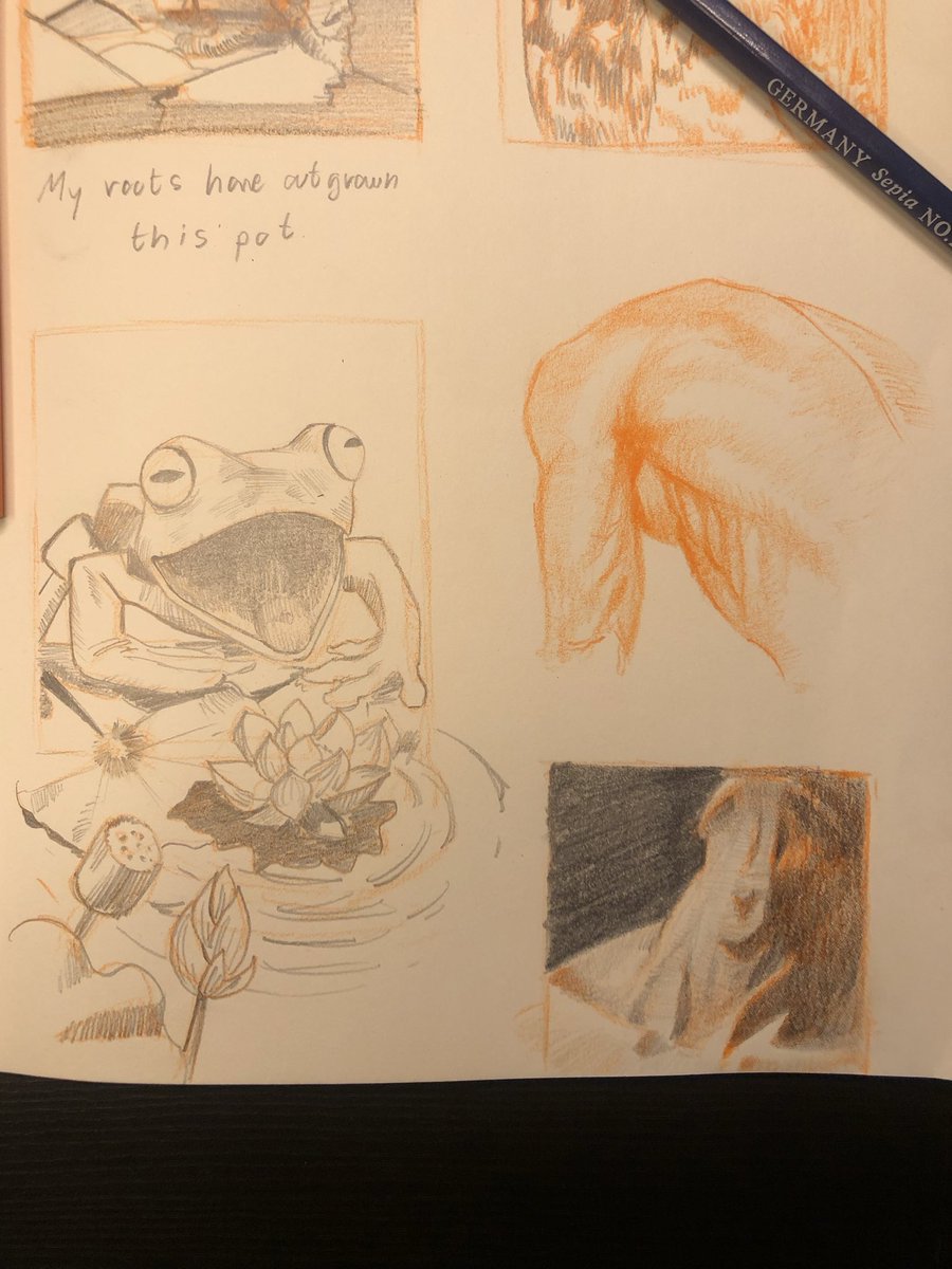 ST_Nutt31's tweet photo. Daily Sketch
🪴🦉🐸🕺 https://t.co/a4mH3JvjFt